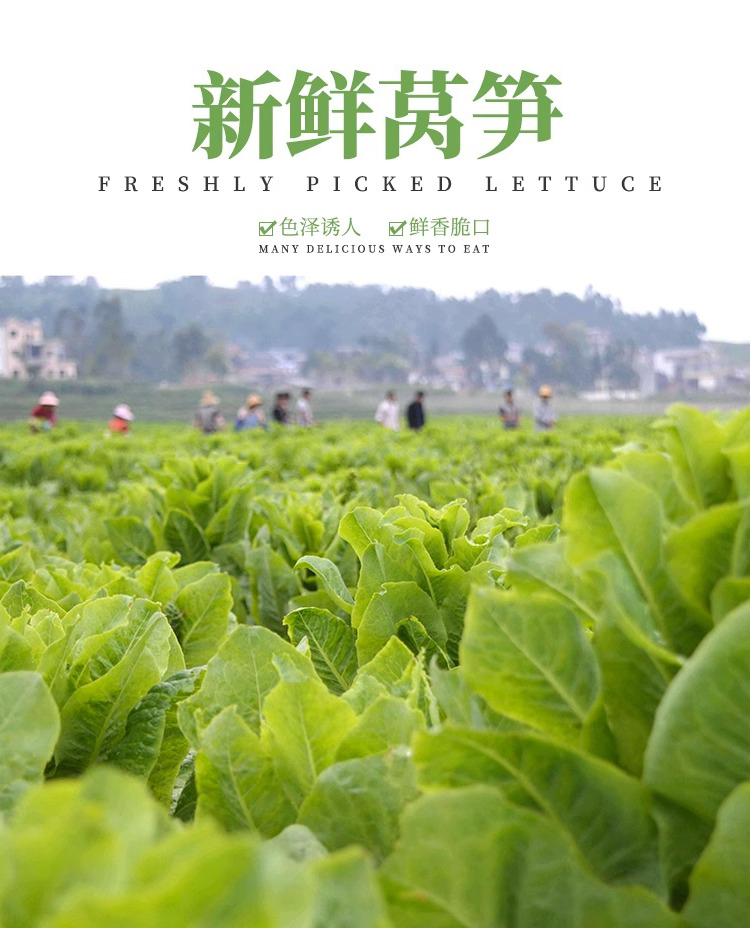 详情图片_1.jpg