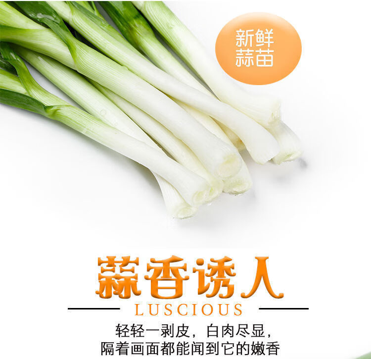 详情图片_05.jpg