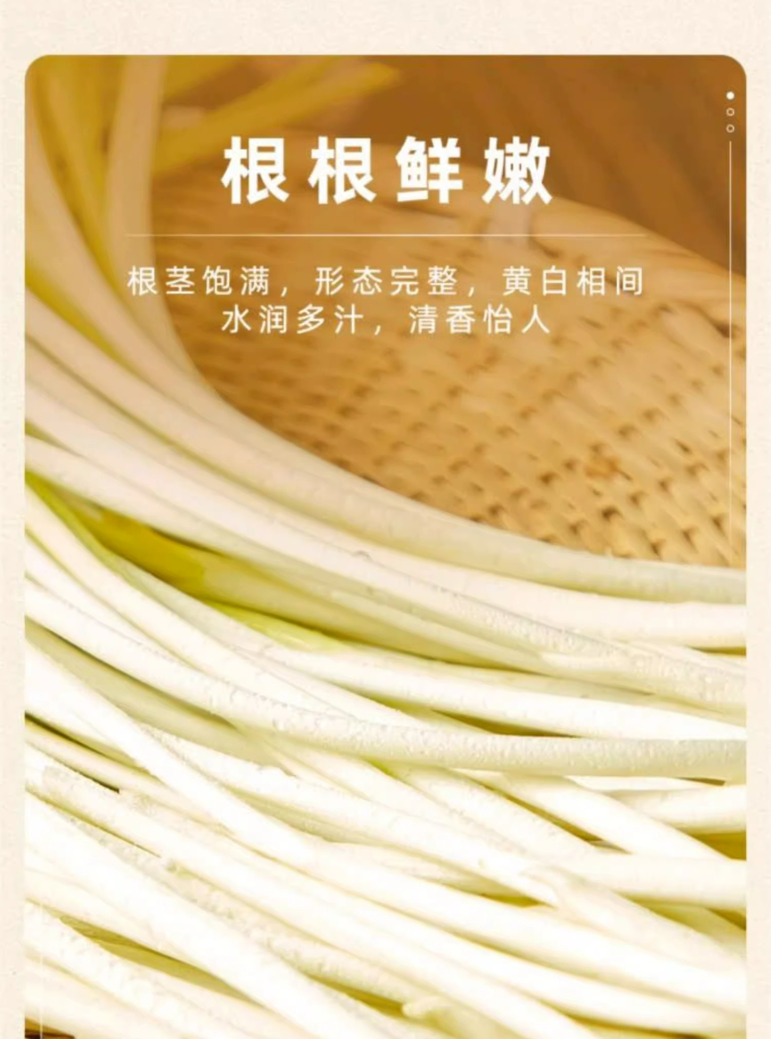 详情图片_2.jpg