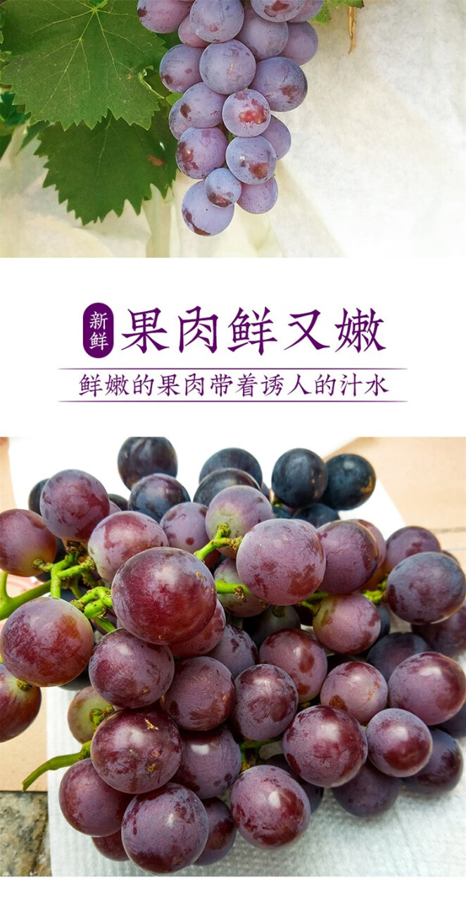 详情图片_04.jpg