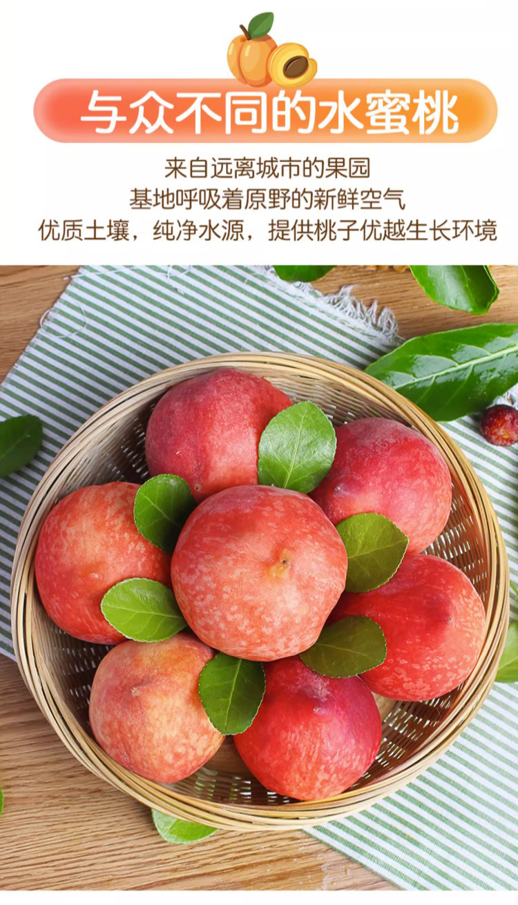 详情图片(长图)_1_03.jpg