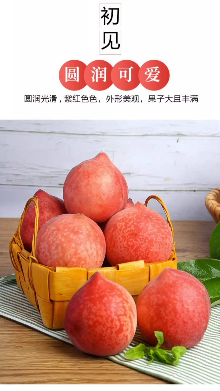 详情图片(长图)_1_04.jpg