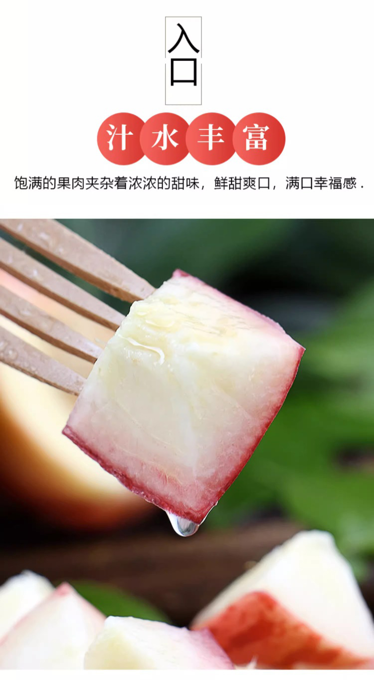 详情图片(长图)_1_06.jpg