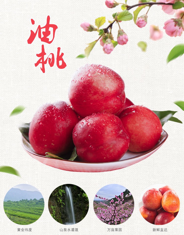 详情图片_1.jpg