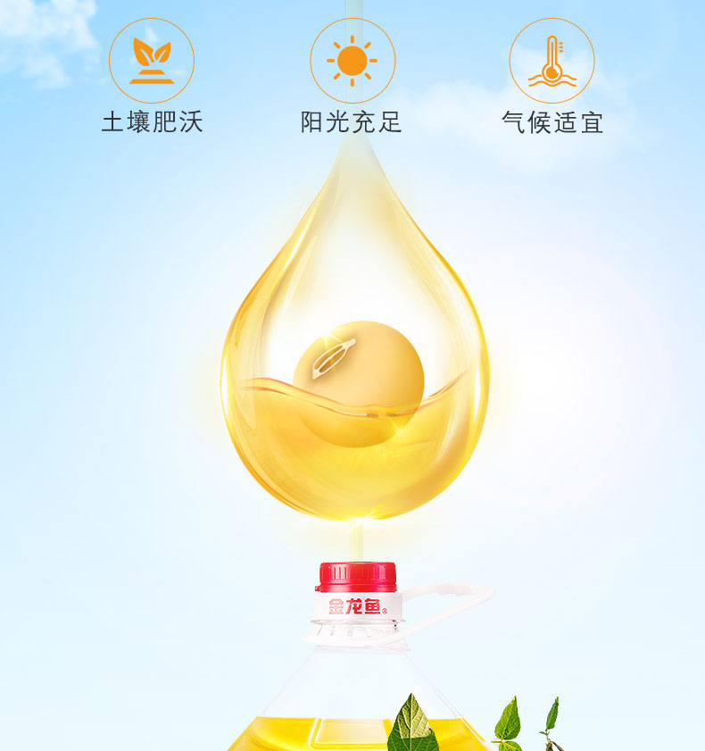 详情图片_09.jpg